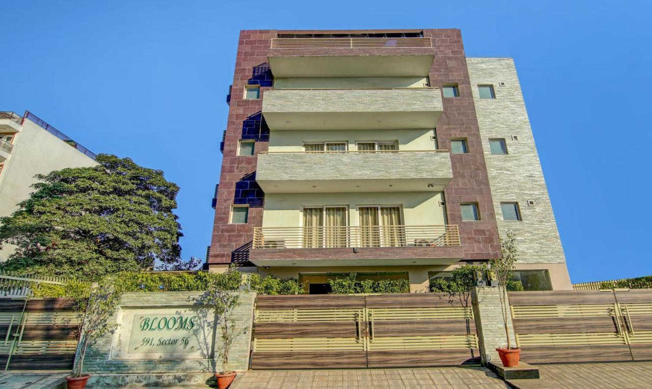 Treebo Trend Blooms Premium Hotel Gurgaon Exterior foto